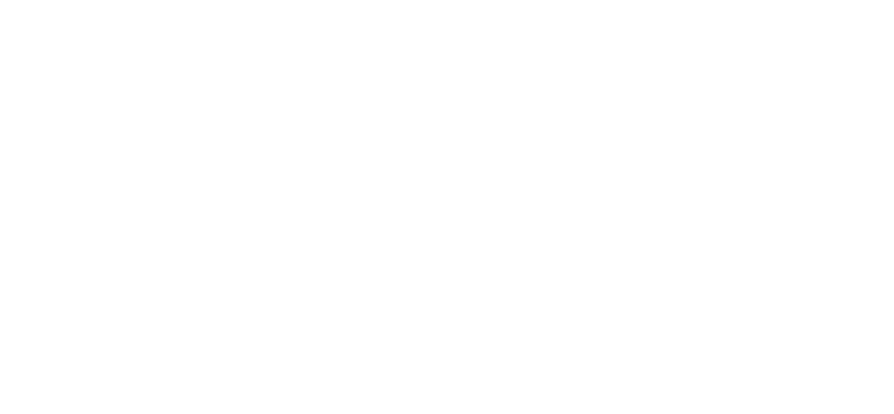 Echo: Defy Death logo